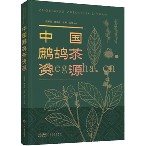 鹧鸪茶