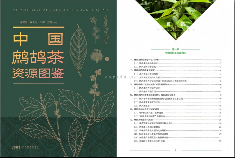 article cover